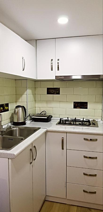 Bright And Cozy Apartment On Aghmashenebeli Avenue 第比利斯 外观 照片